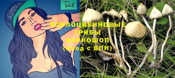 дмт Горно-Алтайск
