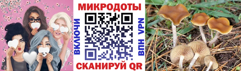 купить наркотик  Коряжма  Псилоцибиновые грибы прущие грибы 