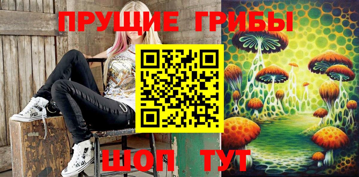 Коряжма  Псилоцибиновые грибы Cubensis  дарнет шоп  Вход с VPN 