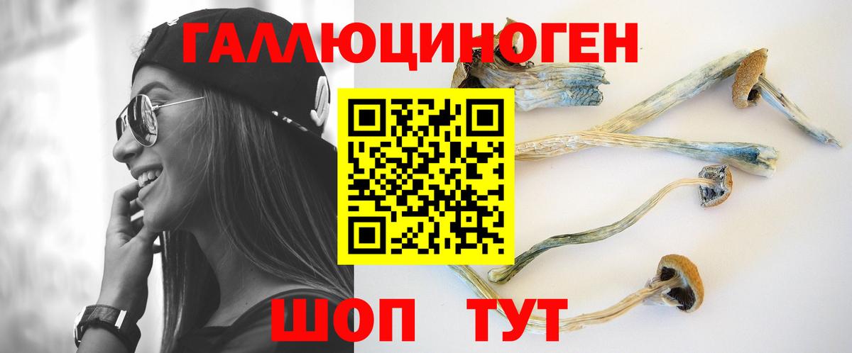 Галлюциногенные грибы мицелий Коряжма